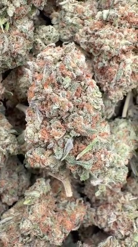 Platinum Bubba - Bulk - Indica