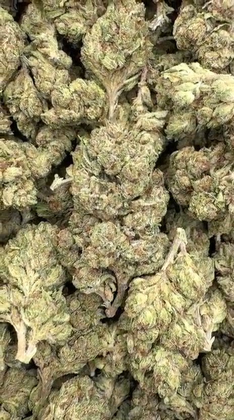 Private Reserve OG - Bulk - Indica