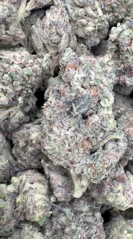 Purple Kush - Bulk - Indica