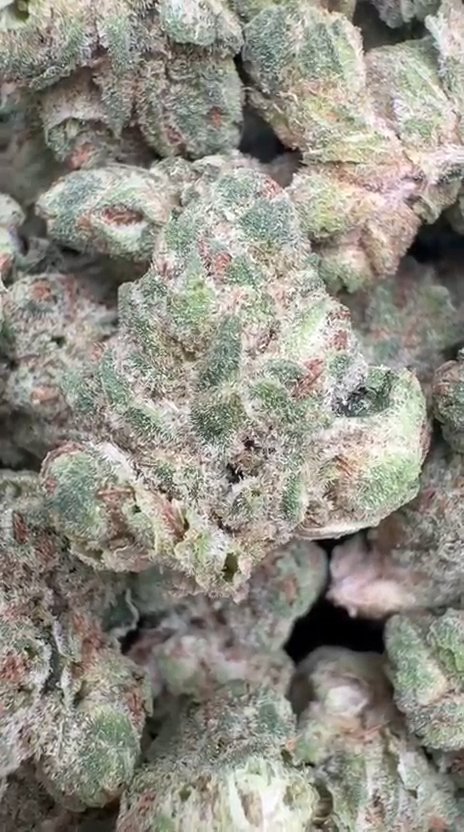Purple Mendo Littles - Bulk Littles - Indica