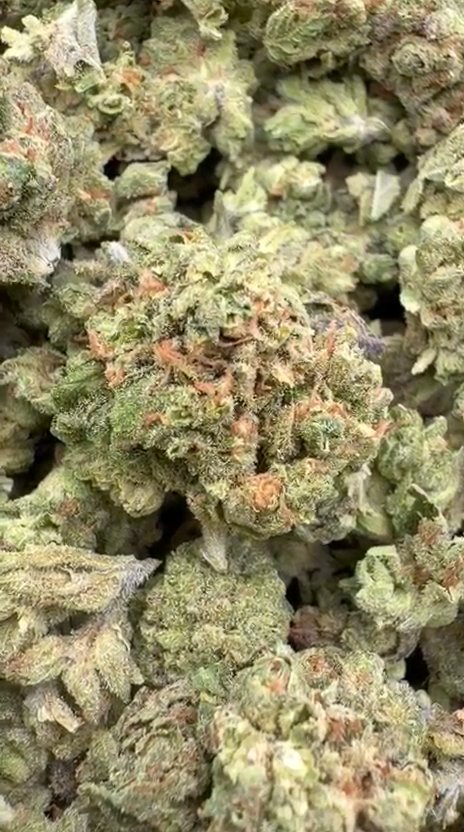 Raspberry Kush Littles - Bulk Littles - Indica