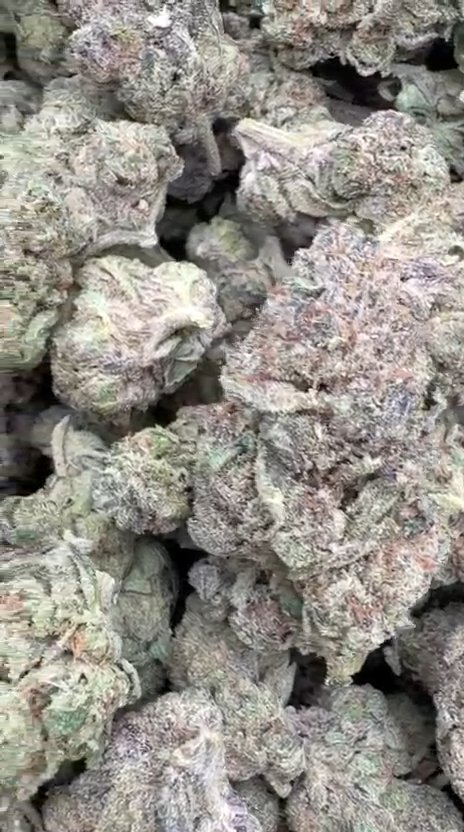 Red Velvet - Bulk - Hybrid