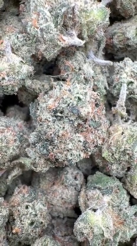 Runtz Indoor Littles - Bulk Littles - Hybrid