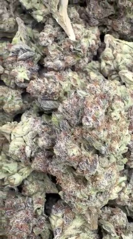 SinMint Cookies - Bulk - Indica
