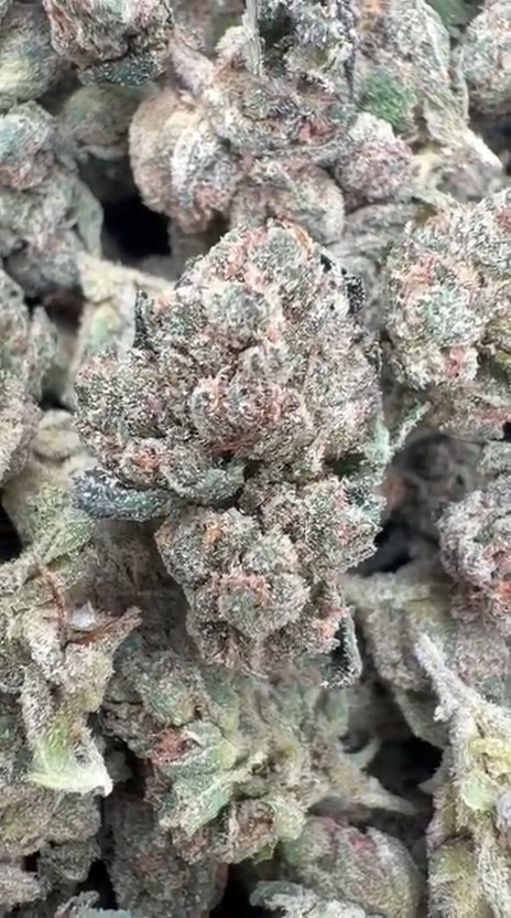 Skywalker OG Indoor Littles - Bulk Littles - Indica
