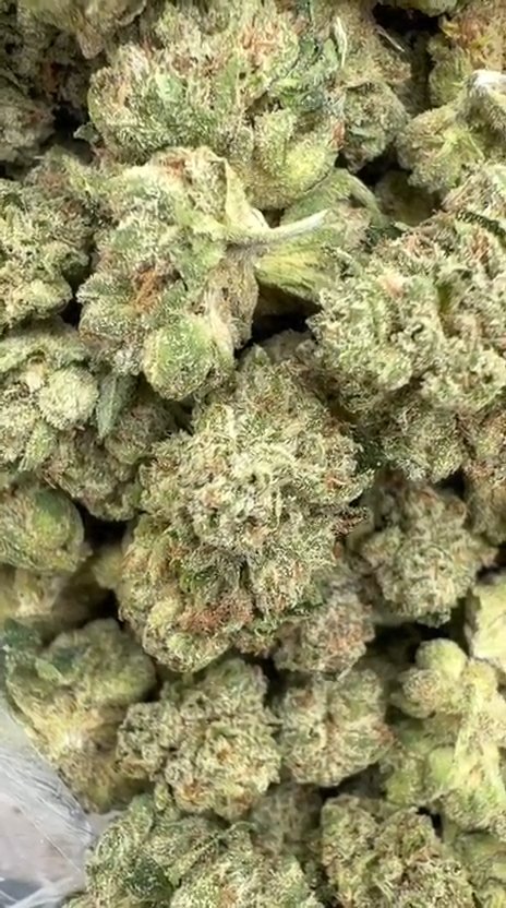 Skywalker OG Indoor Littles - Bulk Littles - Indica
