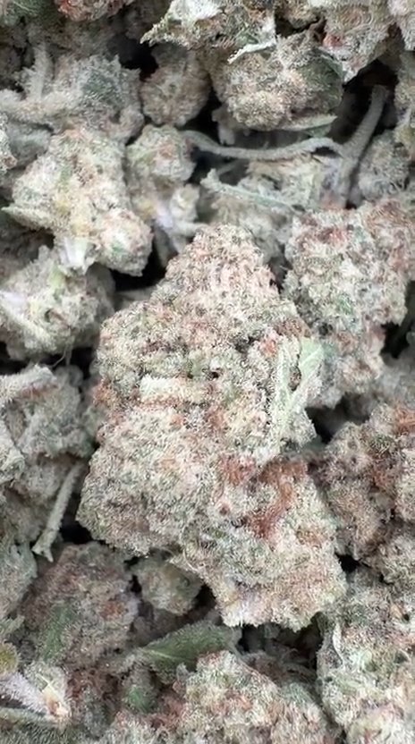 Slurricane Littles - Bulk Littles - Indica