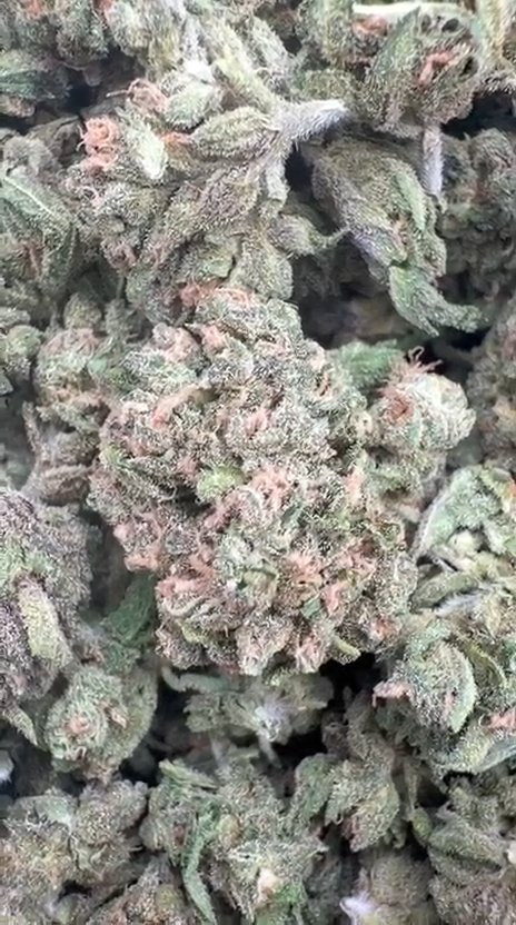 Sour Diesel Littles - Bulk Littles - Sativa