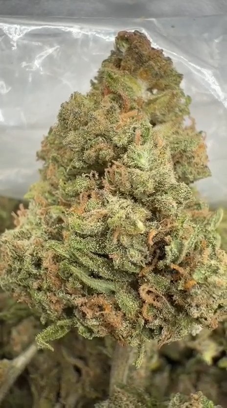 Sour Diesel - Bulk - Sativa