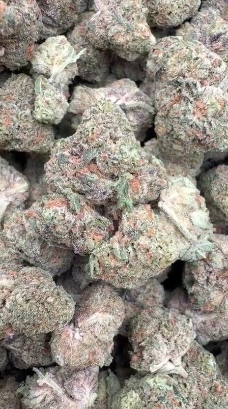 Sour Tangie Mediums - Bulk Mediums - Sativa