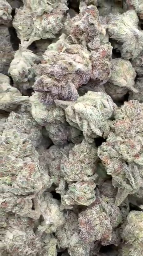 Space Runtz Littles - Bulk Littles - Hybrid