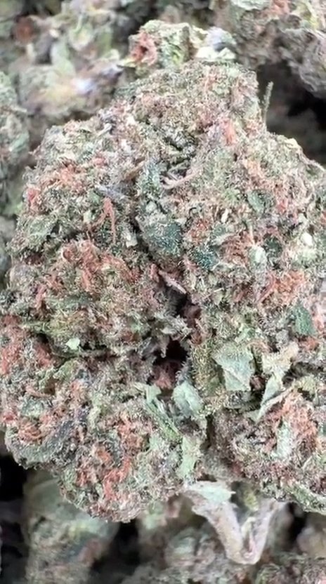 Strawberry Gelato - Bulk - Hybrid