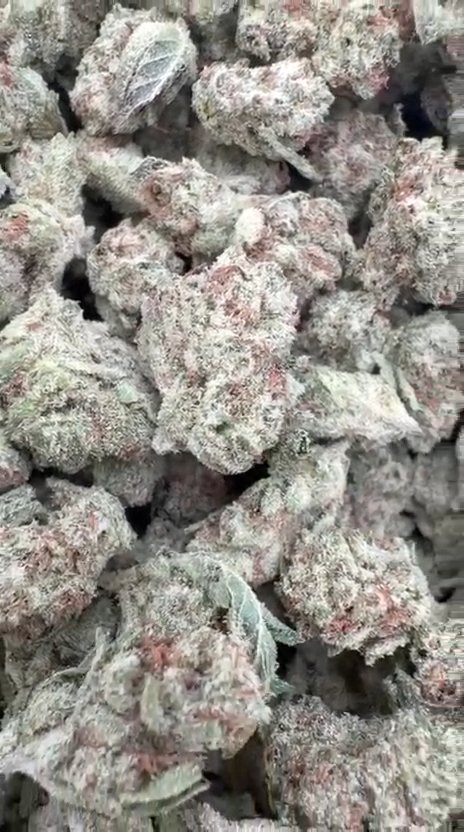 Super Candy Littles - Bulk Littles - Hybrid