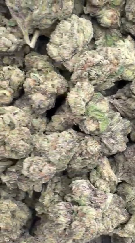 Super Runtz - Bulk - Hybrid