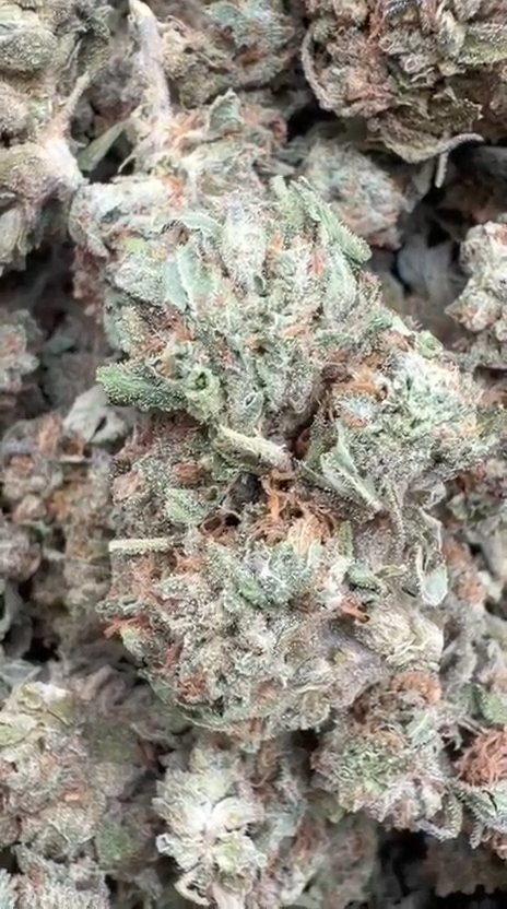 Triangle Kush - Bulk - Indica