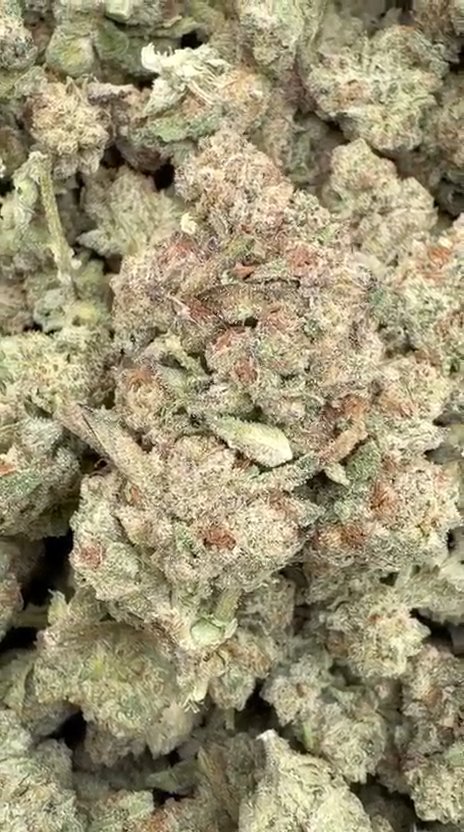 Truffle - Bulk - Indica