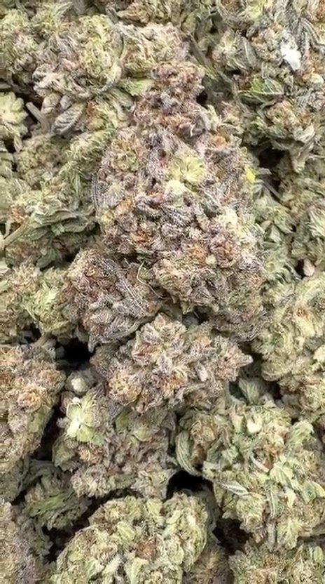 Truffle - Bulk - Indica