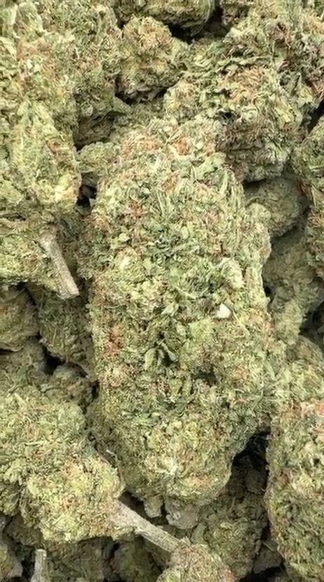 UK Cheese - Bulk - Hybrid