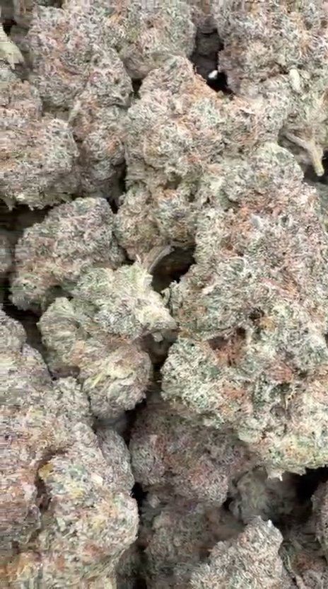 Super Boof Indoor - Bulk - Hybrid