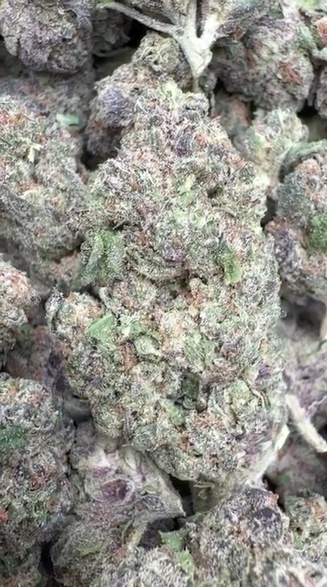 Velvet Cherries - Bulk - Indica
