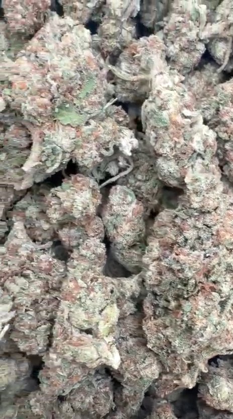 Venom OG - Bulk - Indica