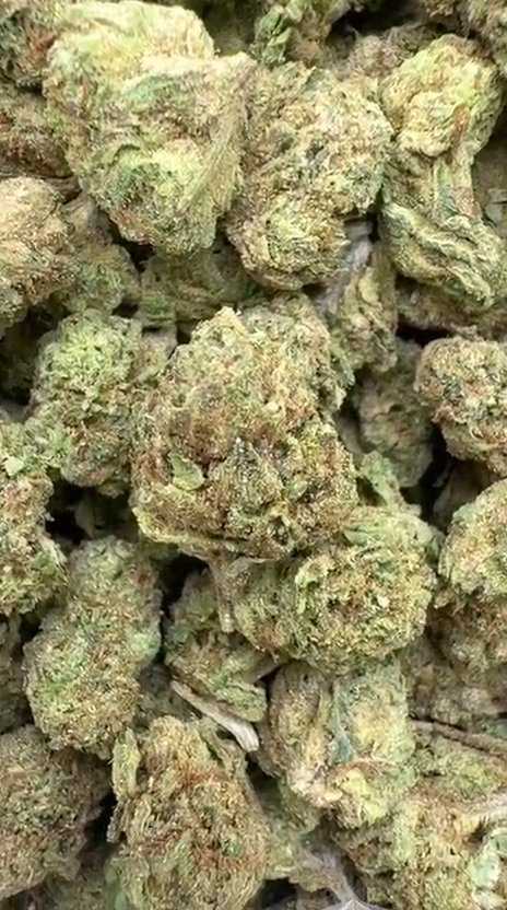Candy Runtz Littles - Bulk Littles - Hybrid