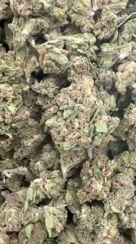 Chem Dawg Littles - Bulk Littles - Hybrid