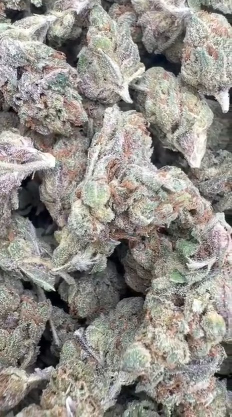 Cherry Pie Littles - Bulk Littles - Hybrid