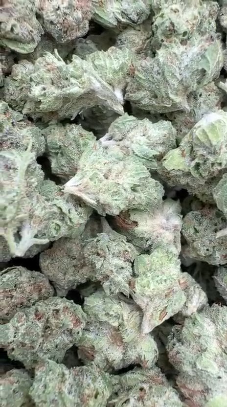Cookie Fuel Littles - Bulk Littles - Hybrid