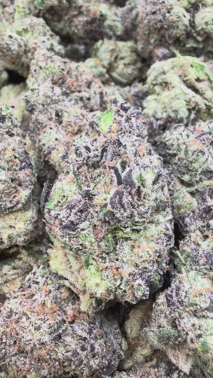 Indoor Exotic Hashburger - Bulk - Indica