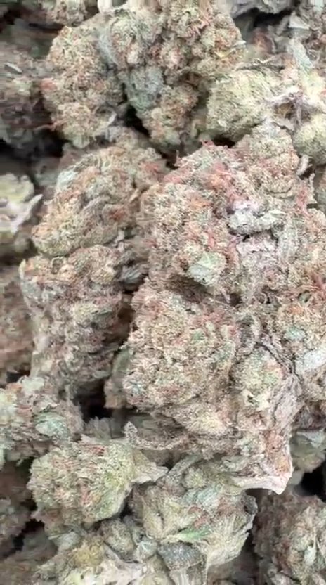 Face Off OG - Bulk - Indica
