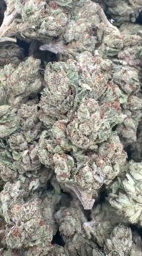 Fire OG - Bulk - Indica