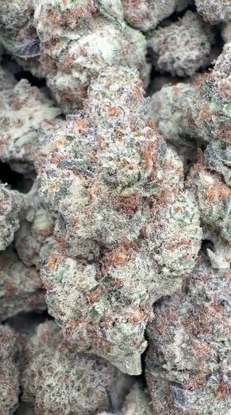 Galaxy OG - Bulk - Indica
