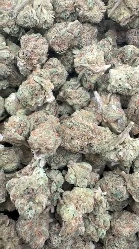 Gelato Kush Littles - Bulk Littles - Indica