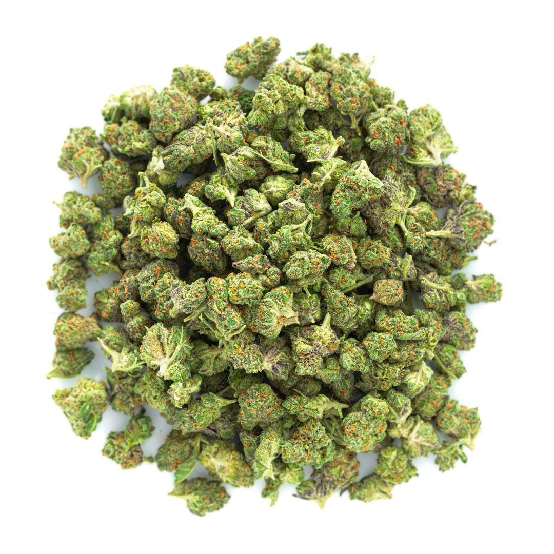 ZAZA - Jealousy - Littles - 28 Grams - Hybrid