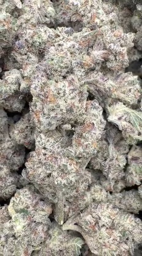 Oreo Runtz - Bulk - Hybrid