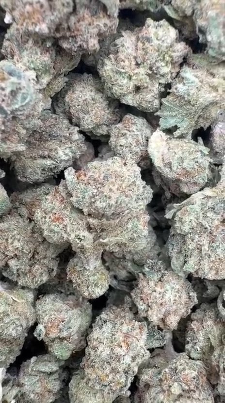 Oreoz Littles - Bulk Littles - Indica