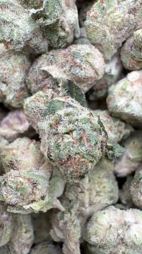 Peanut Butter Cup Littles - Bulk Littles - Indica