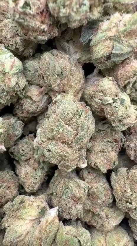 Pink Runtz Littles - Bulk Littles - Hybrid