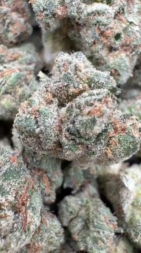 Platinum OG Littles - Bulk Littles - Indica