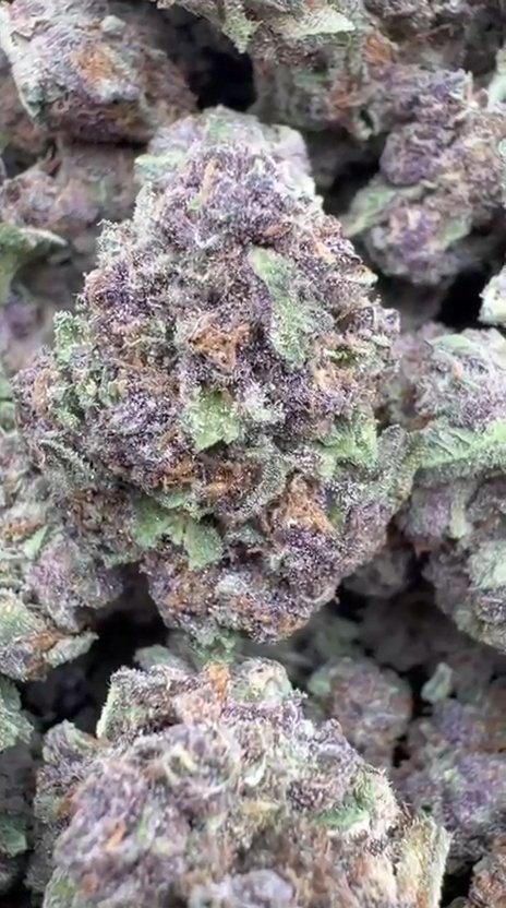 Pop Cherry - Bulk - Hybrid