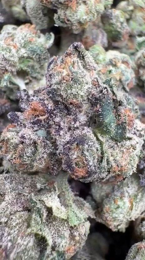 Purple Nerdz Indoor Littles - Bulk Littles - Indica