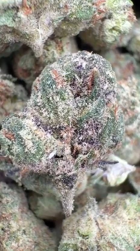 Purple Octane Littles - Bulk Littles - Indica