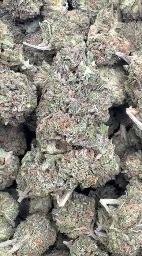 Runtz - Bulk - Hybrid
