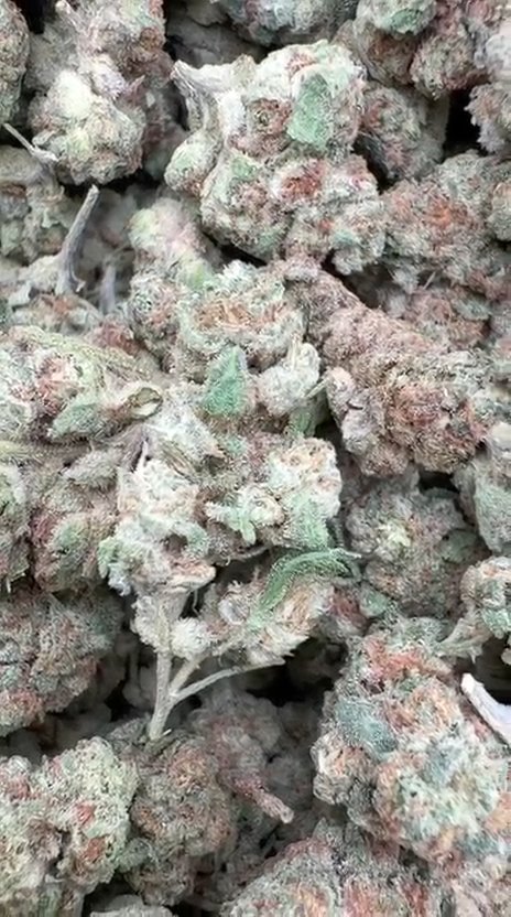 SinMint Cookies Littles - Bulk Littles - Indica