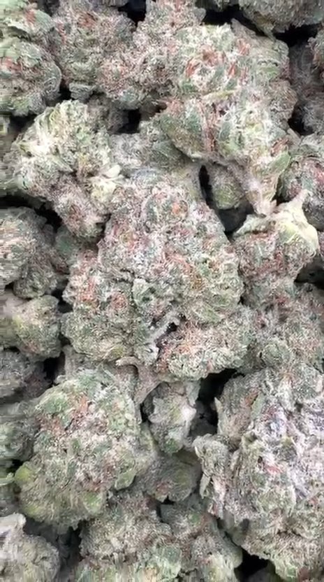 Sour OG - Bulk - Hybrid