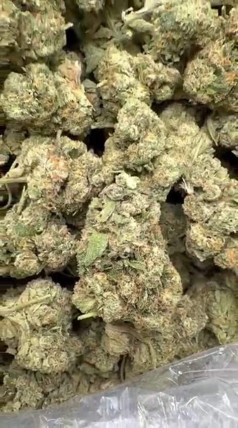 True OG Littles - Bulk Littles - Hybrid