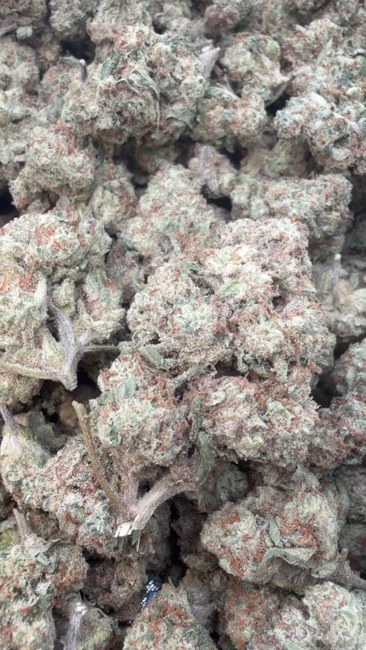 Blueberry Muffins - Bulk - Indica