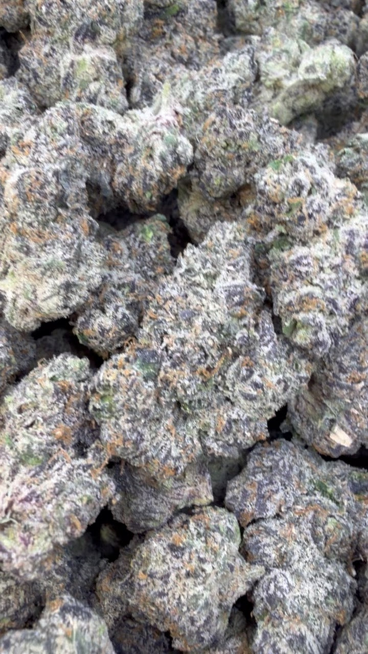 Pink Runtz Indoor - Bulk - Hybrid