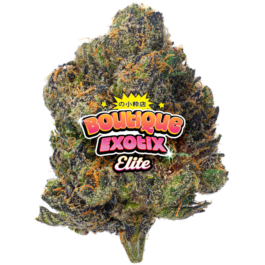 Elite Boutique Exotics Cotton Kandy Faygo - Bulk - Hybrid
